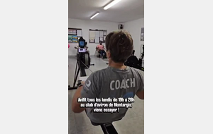 Avifit